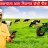 Big news for farmers - प्रत्येक पात्र शेतकऱ्याला आता मिळणार दोन्ही पीक विम्याचा लाभ